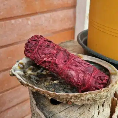 Bâton de sauge sang de dragon