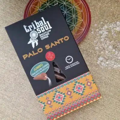 Encens Backflow Palo santo Tribal Soul