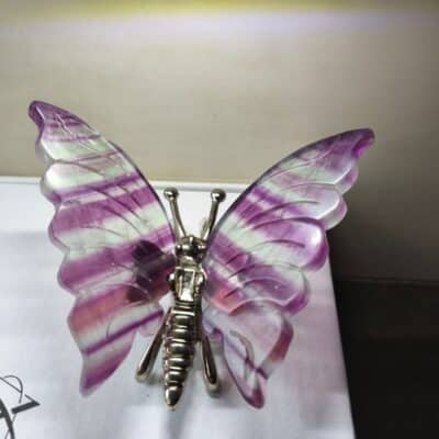 Papillon posé en Fluorine Rainbow AA+