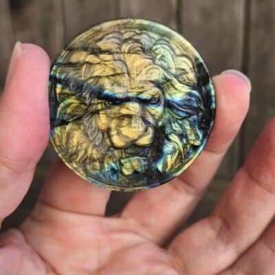 Tête de Lion Labradorite