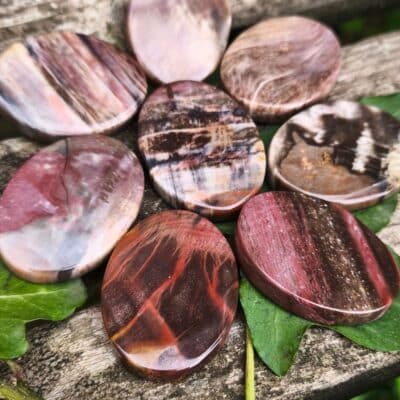 Galet de poche Bois fossile AA