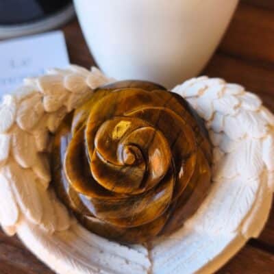 Rose Oeil de tigre AA