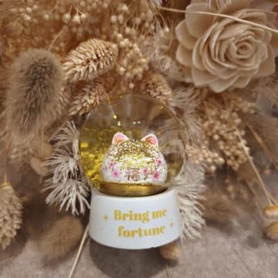 Mini boule à neige Bring me fortune Rituel de Lune