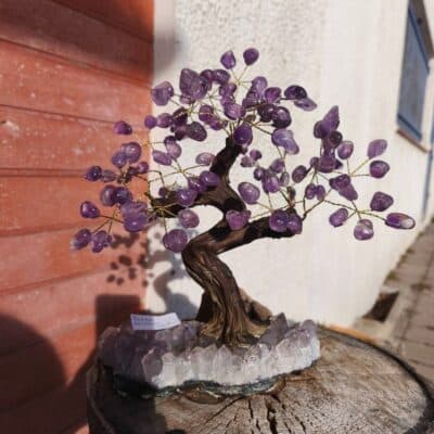 Bonzaï Améthyste sur druse