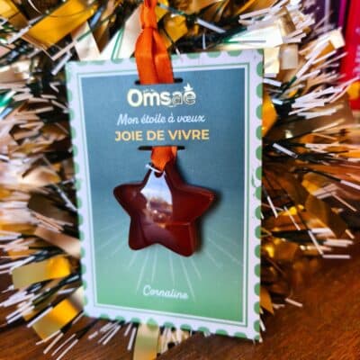 Étoile à Vœux Cornaline Joie de Vivre