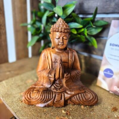 Bouddha Bois 20 cm Anjali Mudra