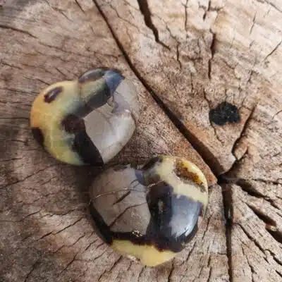 Coeur Septaria