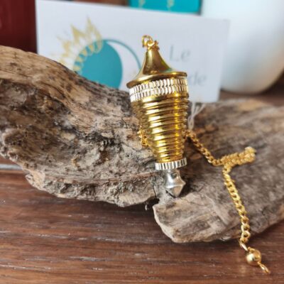 Pendule Acier avec chambre témoin