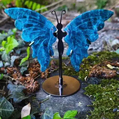 Papillon sur socle Apatite Bleue AA