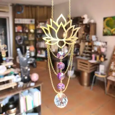 Attrape soleil Lotus