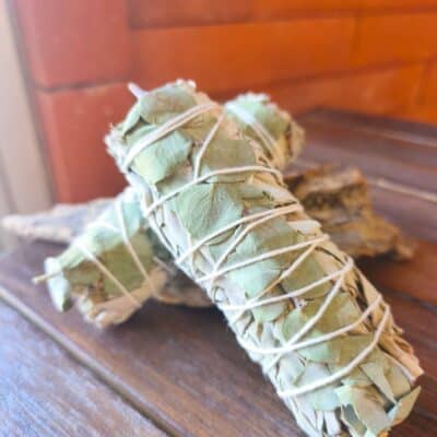 Bâton de sauge et Eucalyptus