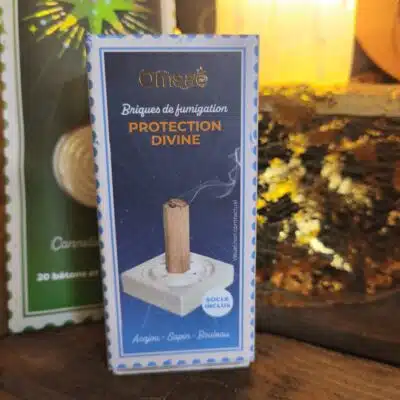 Brique Fumigation Protection divine